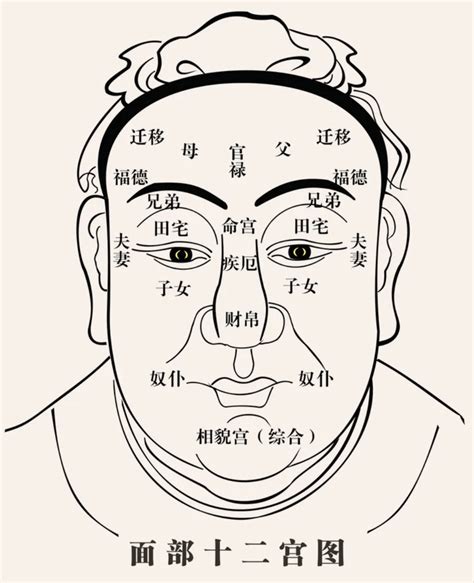 八卦記法 面多肉面相